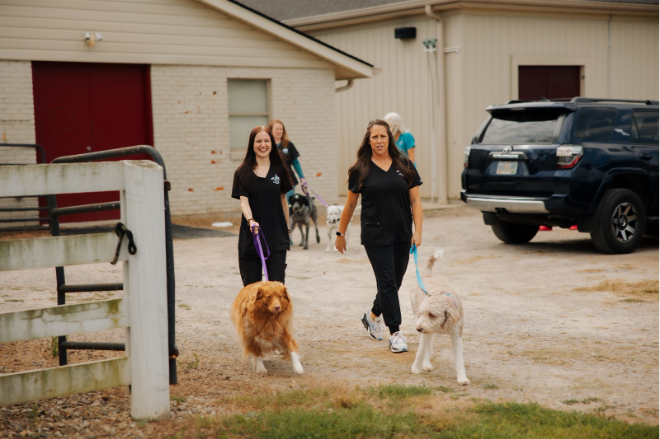 Veterinary care team members walking dogs on leashes outside a veterinary clinic, with a barn-style building and vehicle in the background.